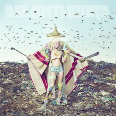 antwoord