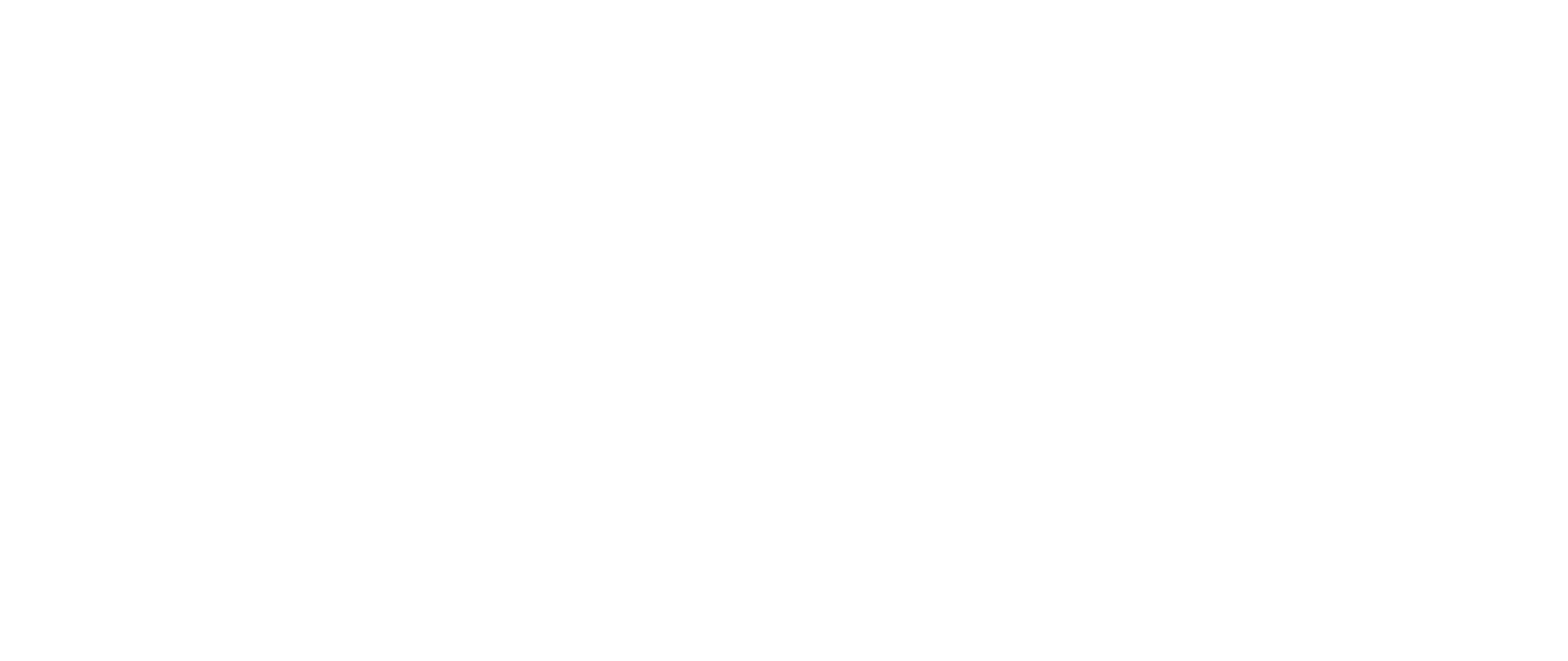 noble securities logo